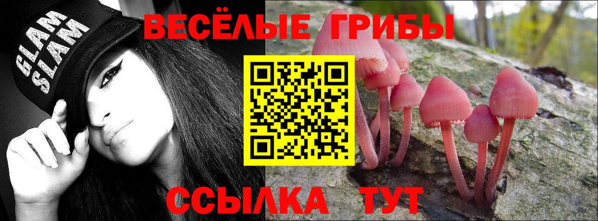 Уварово  Псилоцибиновые грибы Cubensis  наркотики  Вход с VPN 